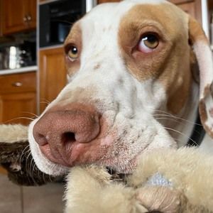 Meet your Posher, Jeannie